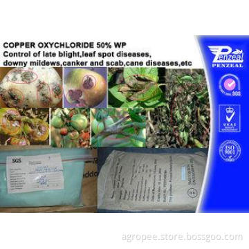 Foliar Fungicide Copper Oxychloride 50% WP Agricultural Fun